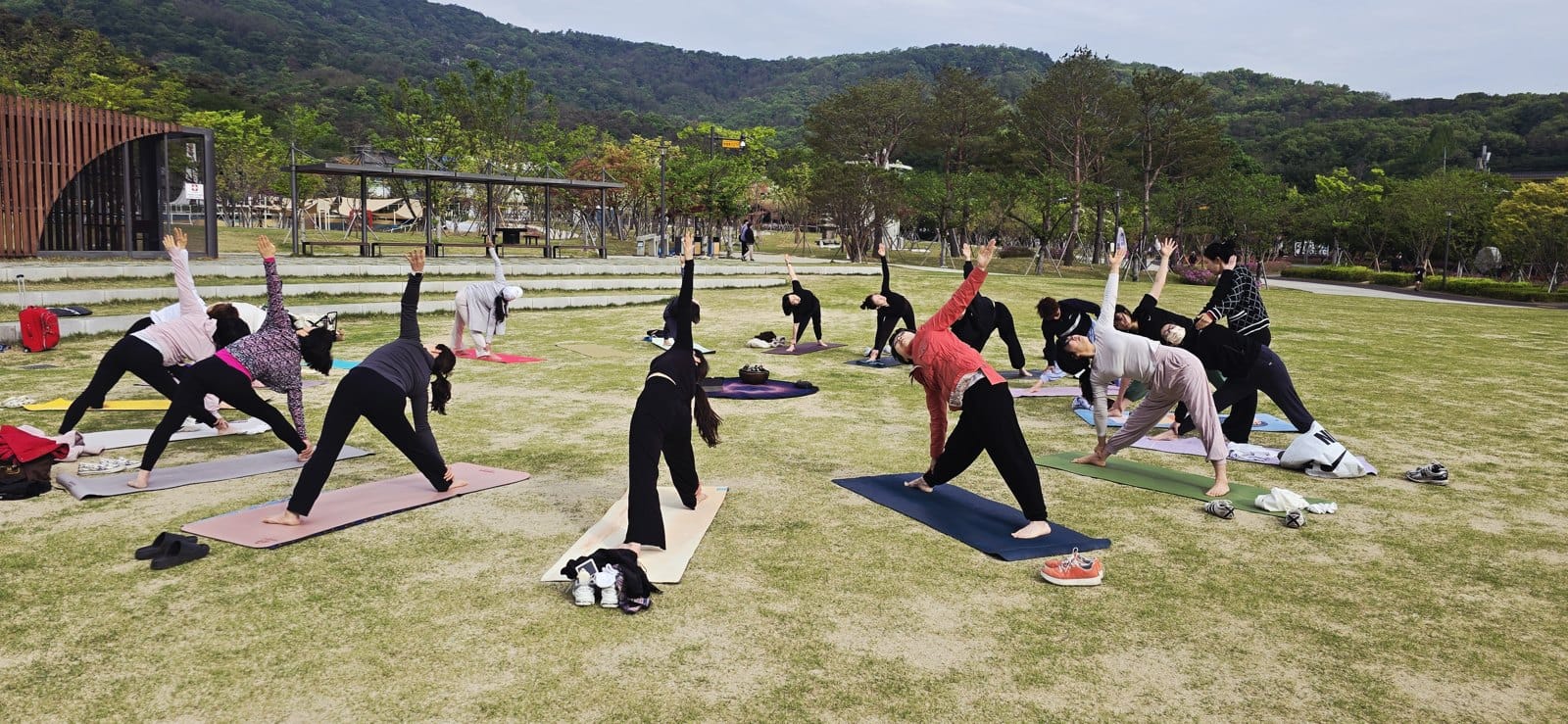 자연 속에서 함께 움직이는 요가